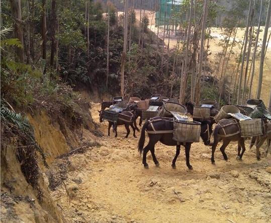 罗湖区马帮山路运输