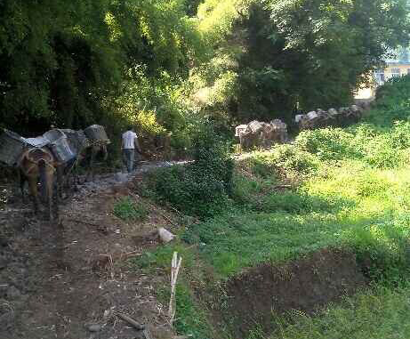 罗湖区马帮运输队