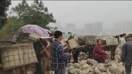 罗湖区骡马山区运输