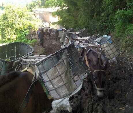 罗湖区马帮搬运