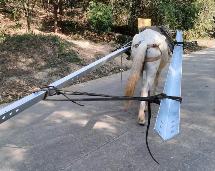 罗湖区马队搬运