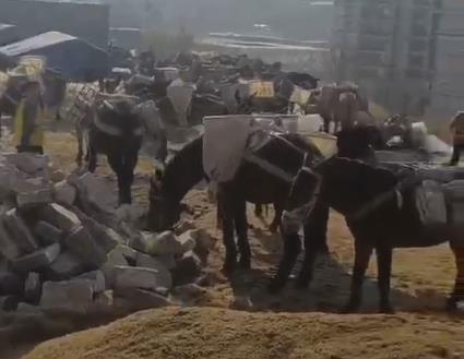 罗湖区马队山路运输