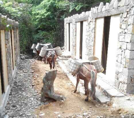 罗湖区马队运输队