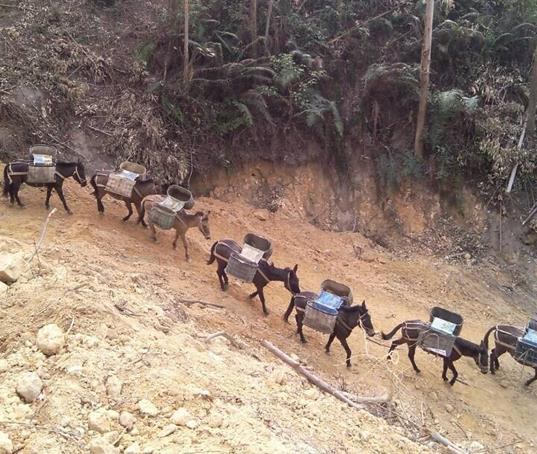 罗湖区山路马帮运输