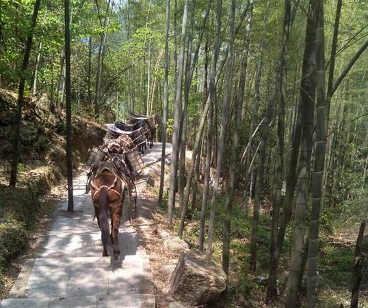 罗湖区山路马队运输