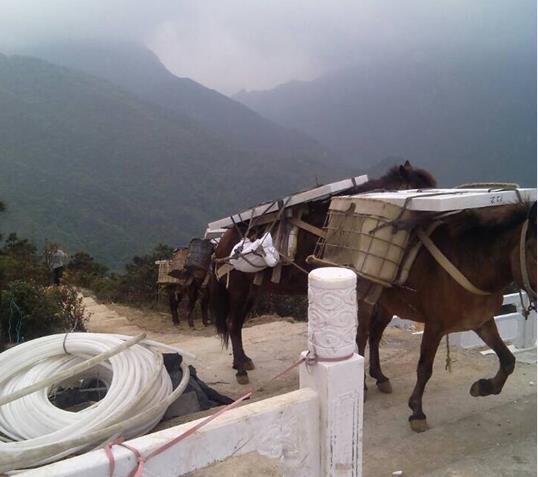 罗湖区山区马帮运输