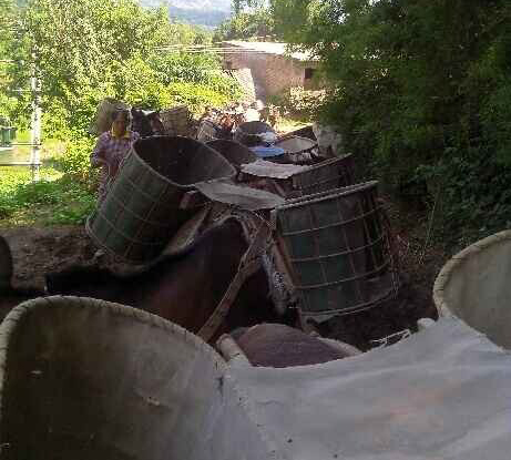 罗湖区骡马运输